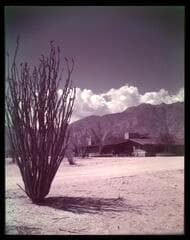 Go to image 12.