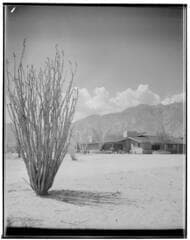 Go to image 1.