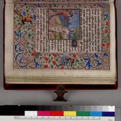 Go to image 12.