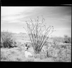 Go to image 19.