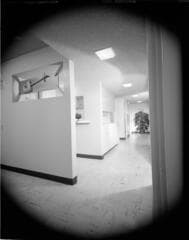 Go to image 12.