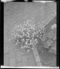 Go to image 2.