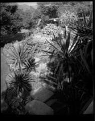 Go to image 4.
