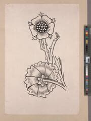 Go to image 1.
