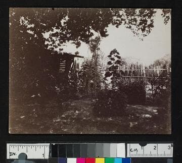 Florence, 1892