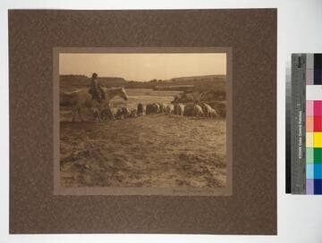 Navajo Shepherd Boy