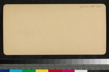 Go to image 2.