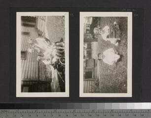Go to image 45.