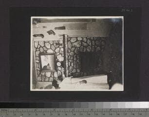 Go to image 41.