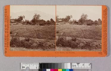 Go to image 1.