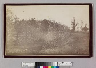 Go to image 1.