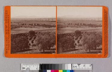 Go to image 1.