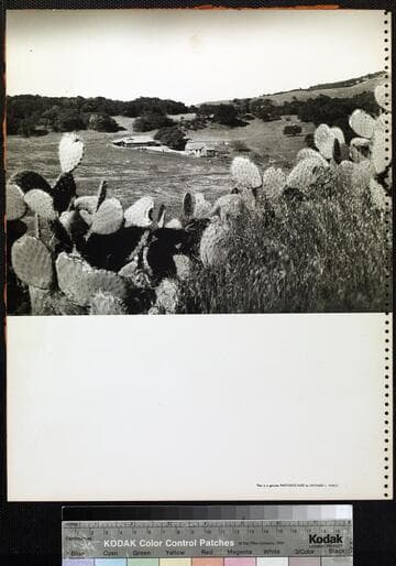 Pico Ranch