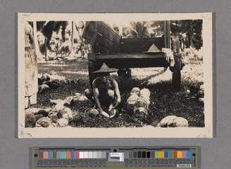Go to image 387.