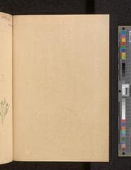 Go to image 86.