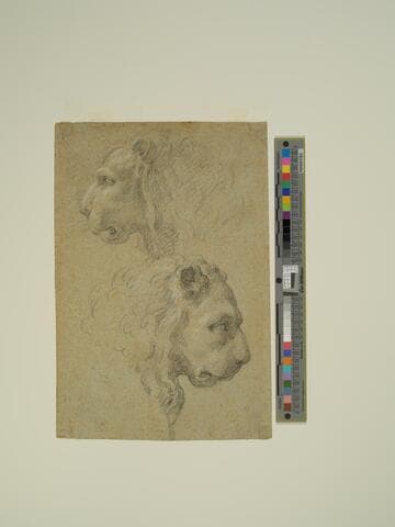 Two Lions' Heads