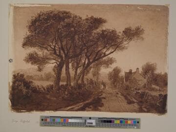 Country Lane
