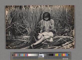 Go to image 219.