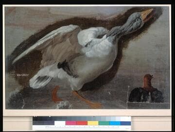 Goose