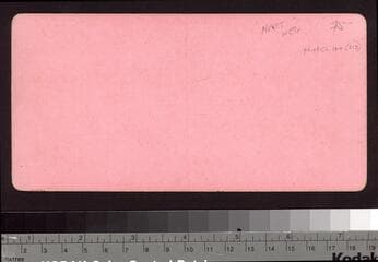 Go to image 2.