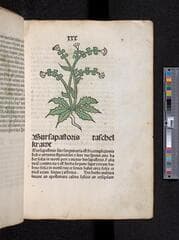 Go to image 67.