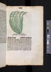 Go to image 95.