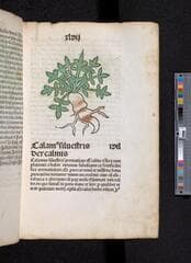 Go to image 103.