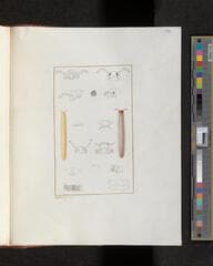 Go to image 367.