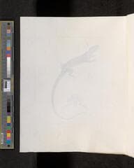Go to image 362.