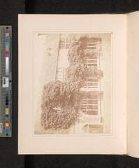 Go to image 126.