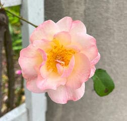 Go to image 1.