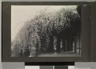 Go to image 44.