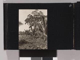 Go to image 70.