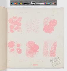 Go to image 4.