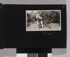 Go to image 7.