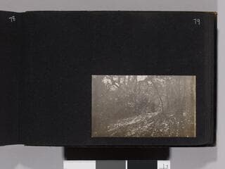 Go to image 81.