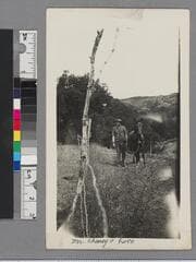 Go to image 43.