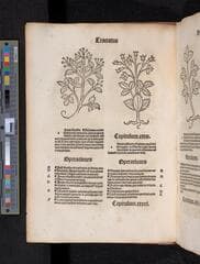 Go to image 34.