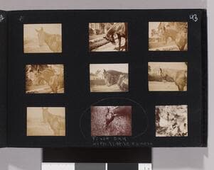 Go to image 45.