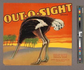 Out O Sight Brand