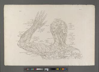 Go to image 267.