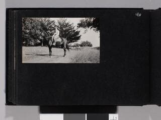 Go to image 48.