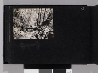Go to image 40.