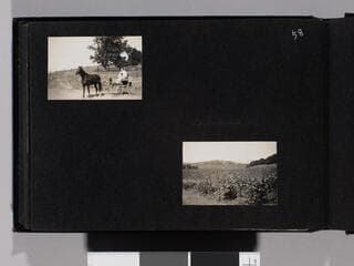 Go to image 60.
