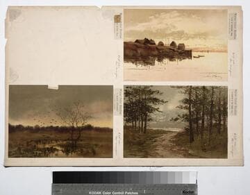 Water color studies
