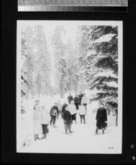 Go to image 73.