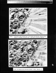 Go to image 64.