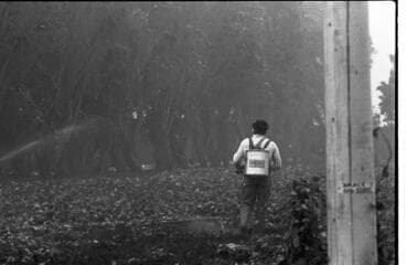 Go to image 51.
