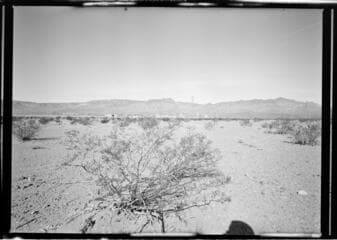 Go to image 3.