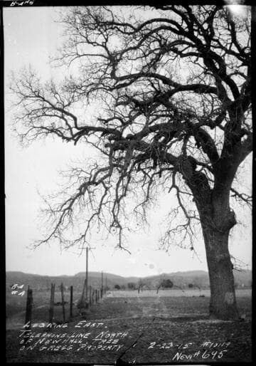 Telephone line